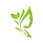 Naturelle Beauty testimonial for Product Upload Naturelle Beauty avatar